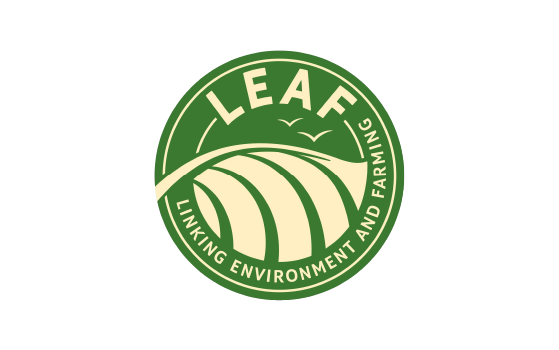 logo leaf